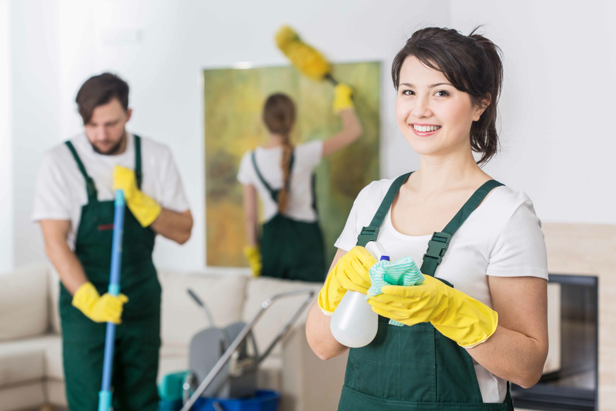 ABOUT - Premier Janitorial Services 